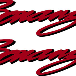 Beechcraft Bonanza Script Pair (2) Logo Decal