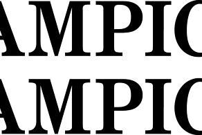 Aérospatiale Tampico Logo Decal PAIR (2)