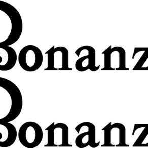 Beechcraft Bonanza Pair (2) Logo Decal