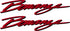 Beechcraft Bonanza Script Pair (2) Logo Decal