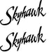 Cessna 172 Skyhawk Logo Decal PAIR (2)